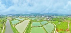 <b><b>农林牧值居全省县（市）区第二位；来到福建光</b></b>